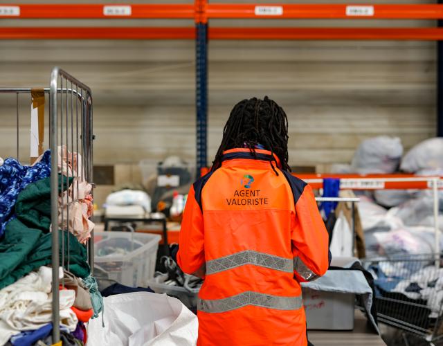 Insertion professionnelle 